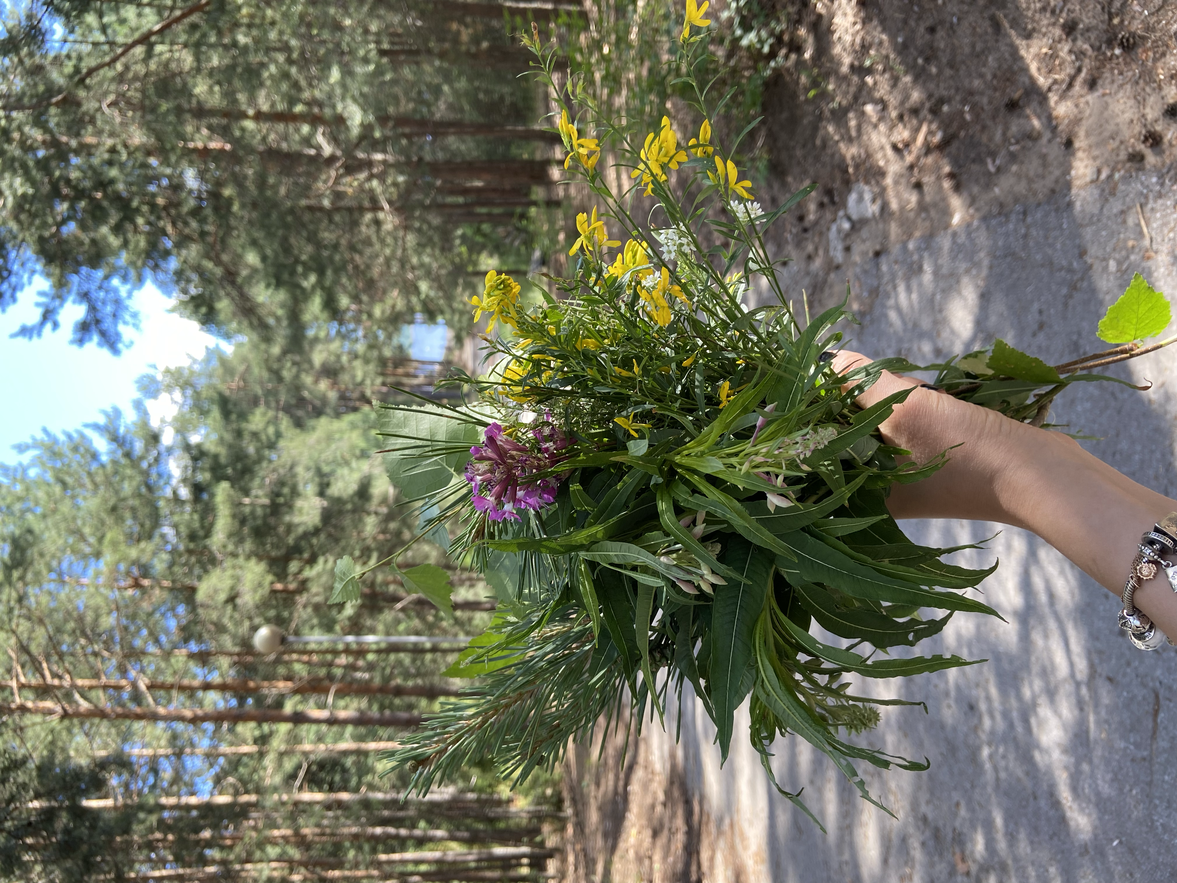 Фотография из статьи