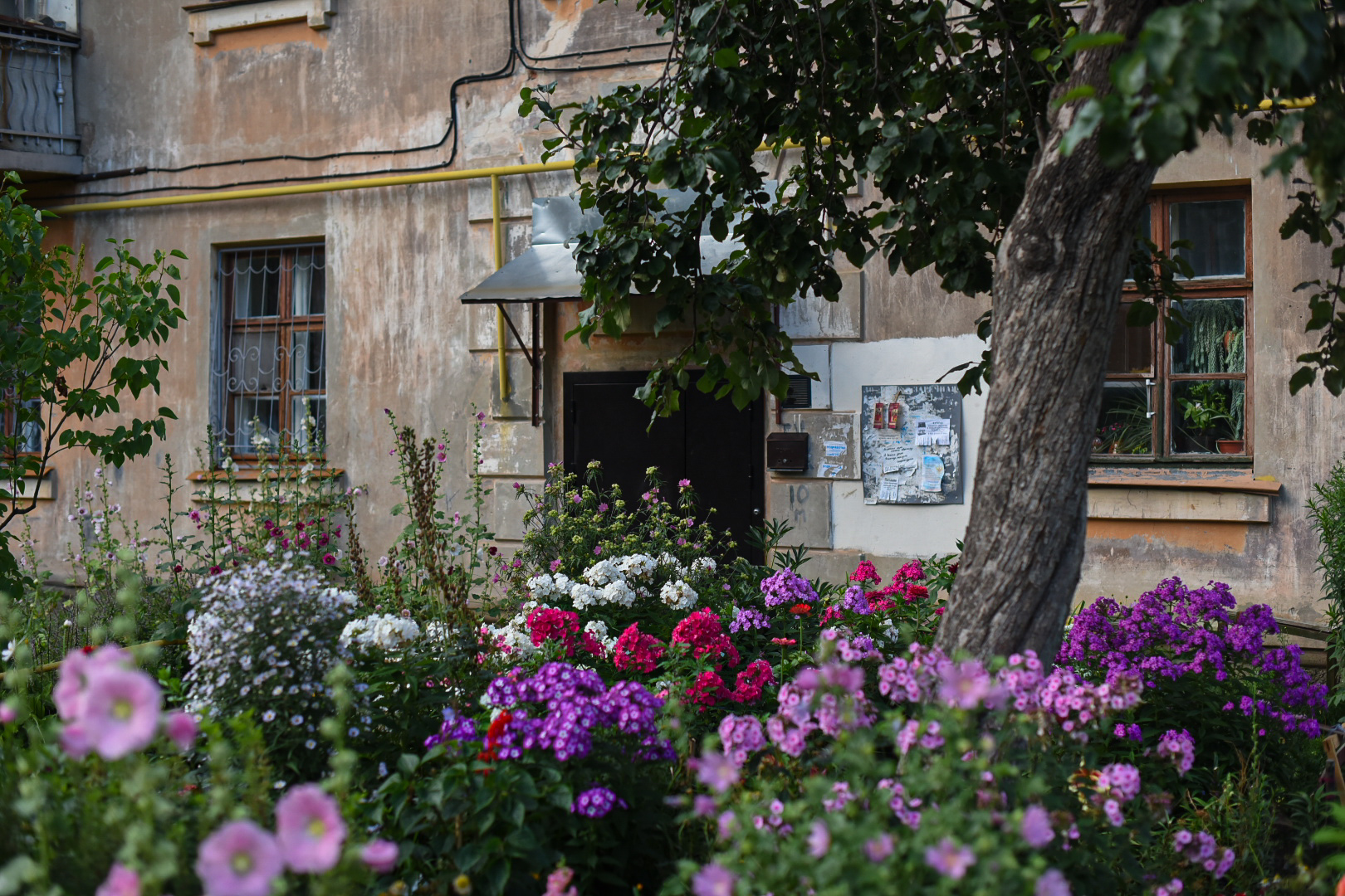 Фотография из статьи