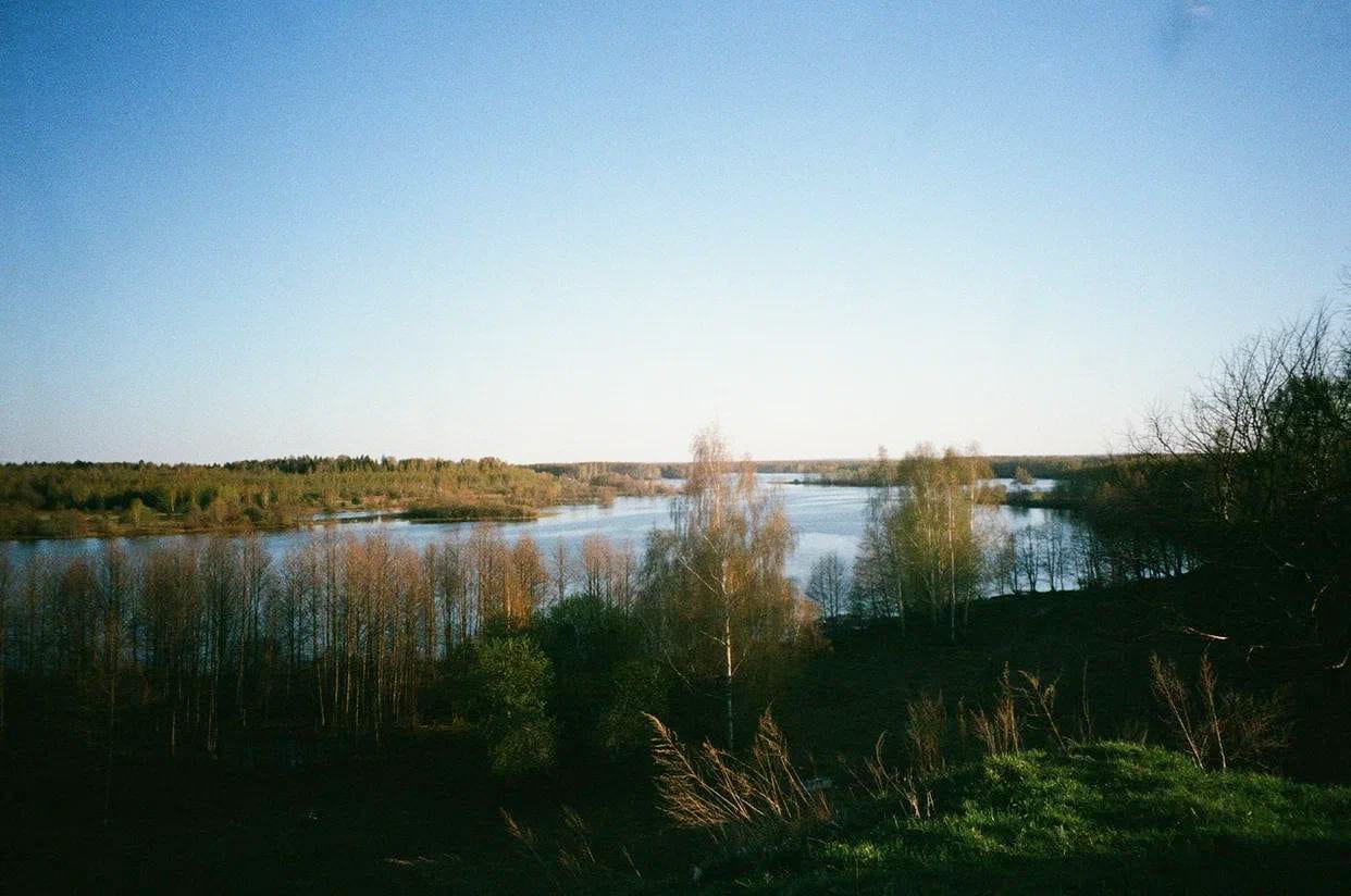 Фотография из статьи