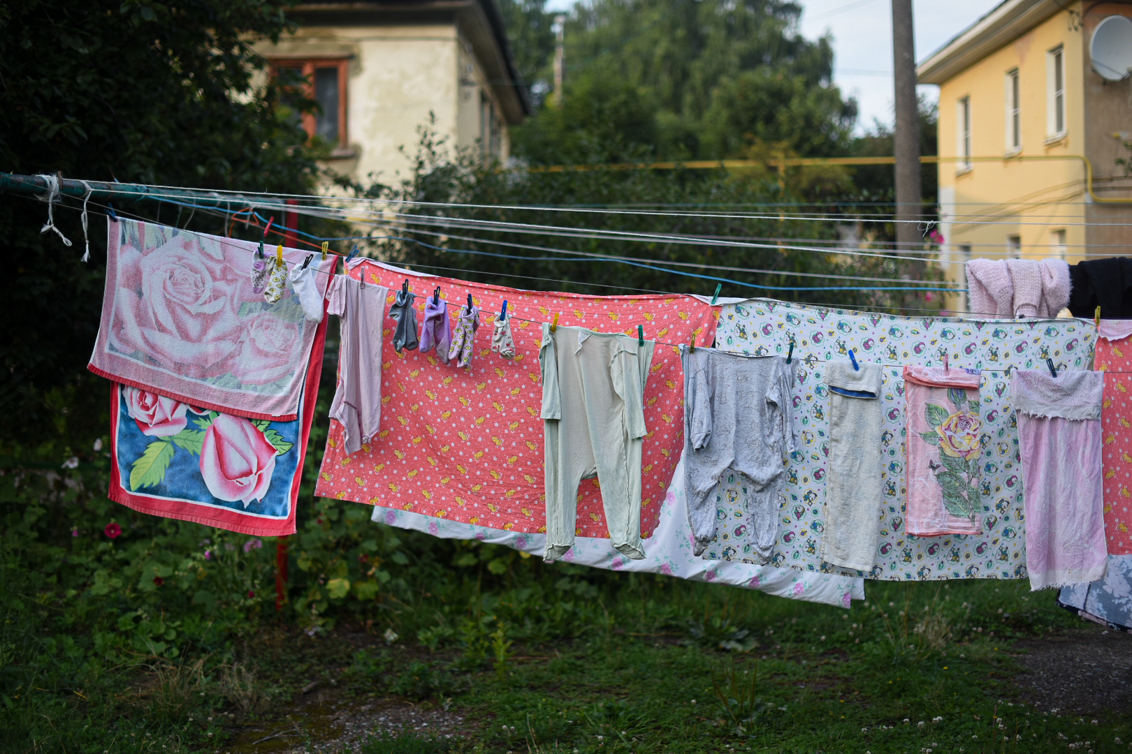 Фотография из статьи