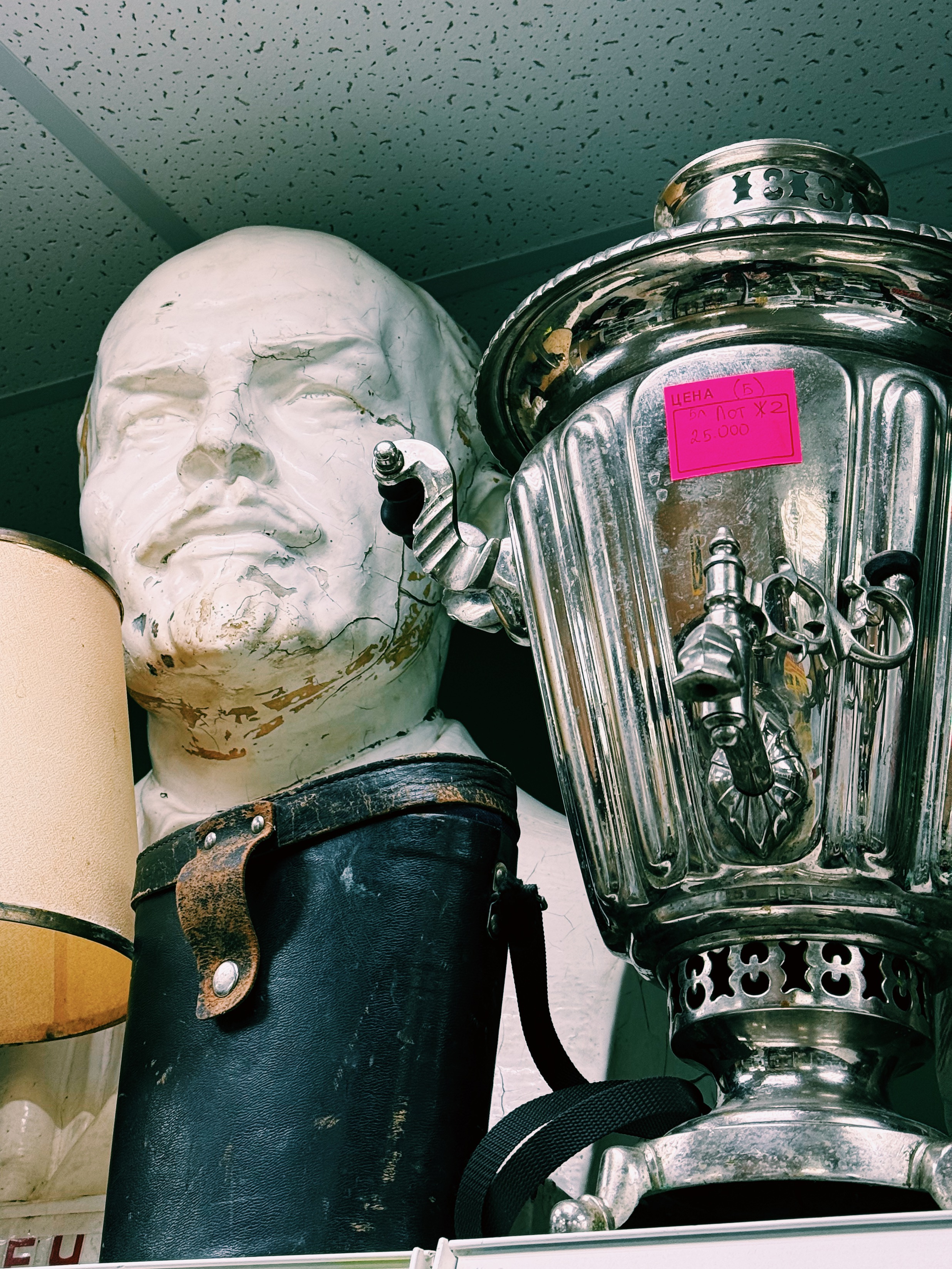 Фотография из статьи 1