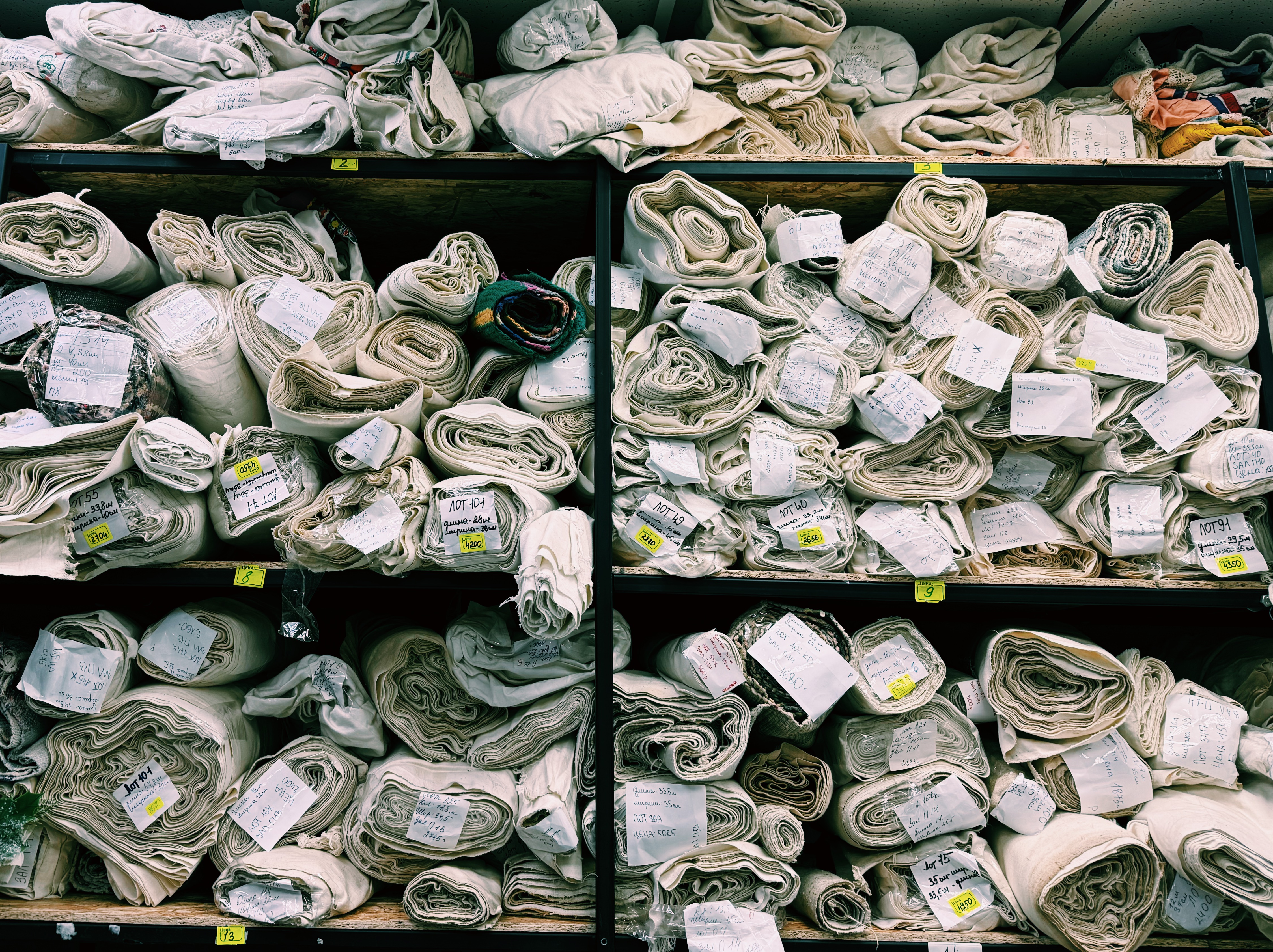 Фотография из статьи