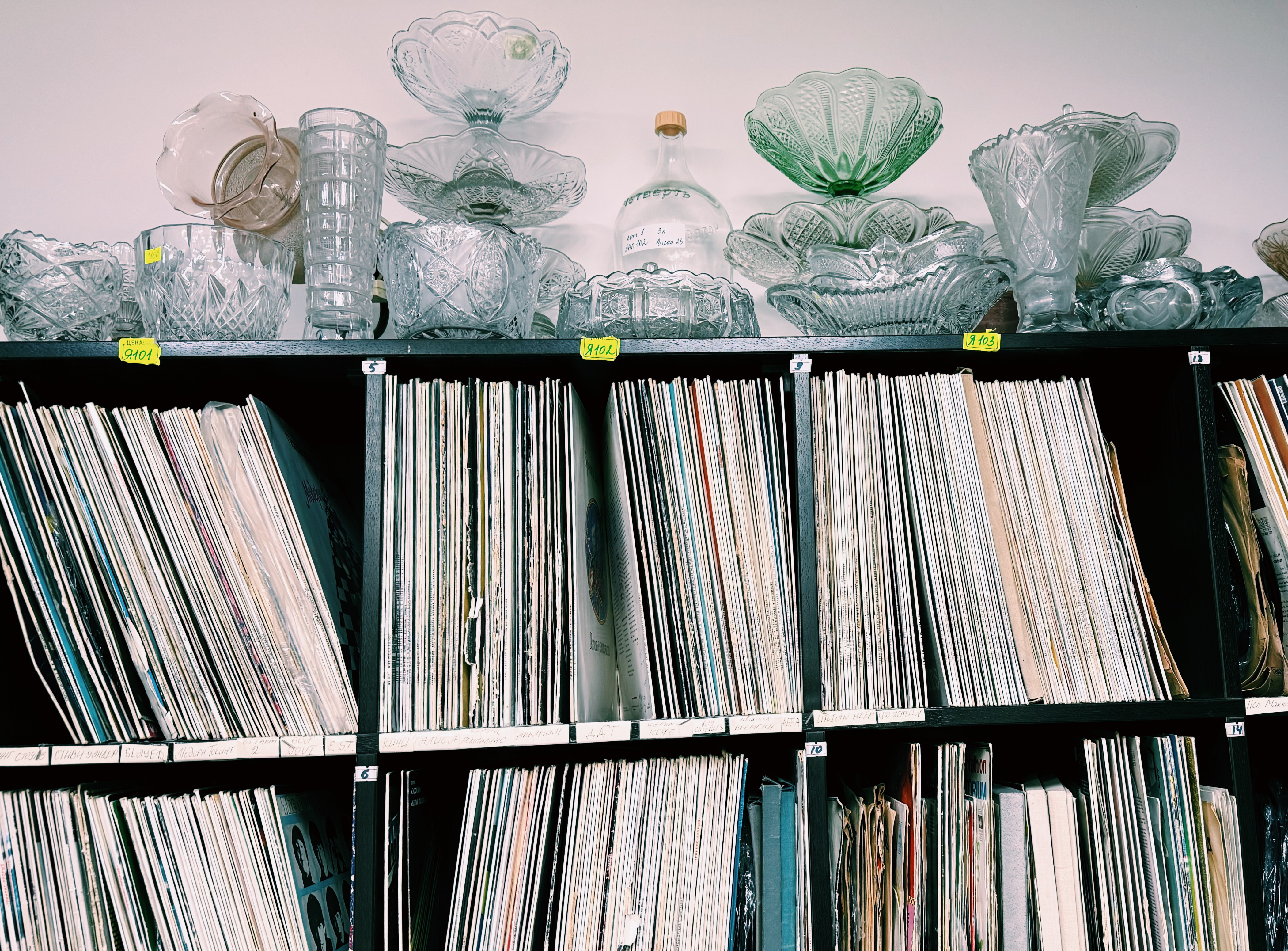 Фотография из статьи