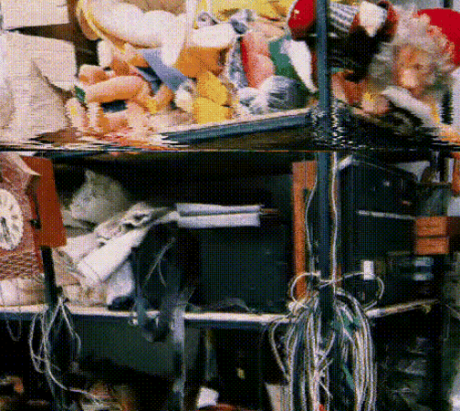 Фотография из статьи