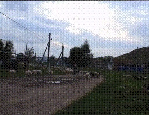 Фотография из статьи